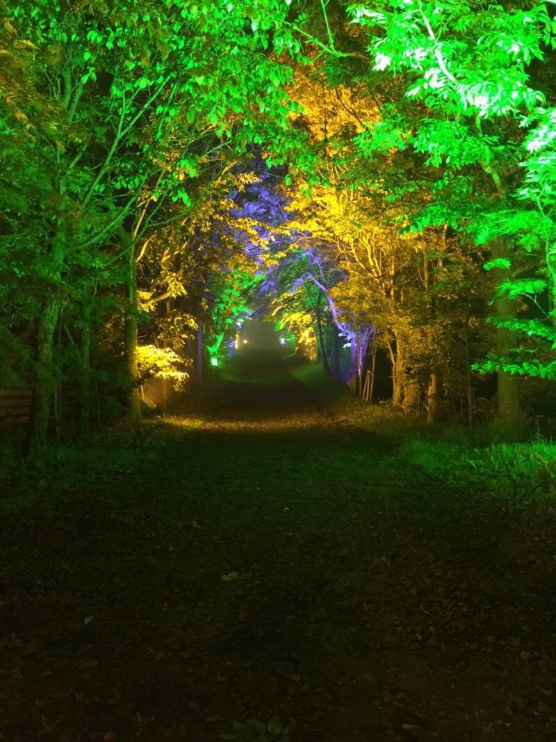 仮設証明工事01